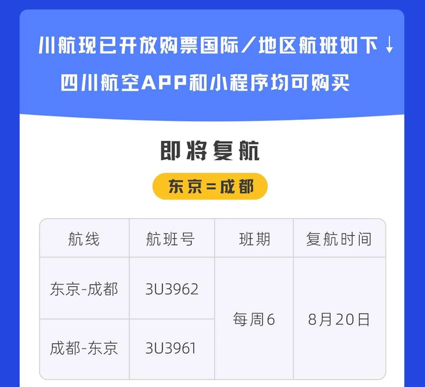 【优行·资讯】各航司8月国际航班计划汇总