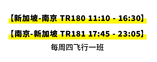 【优行·资讯】各航司8月国际航班计划汇总