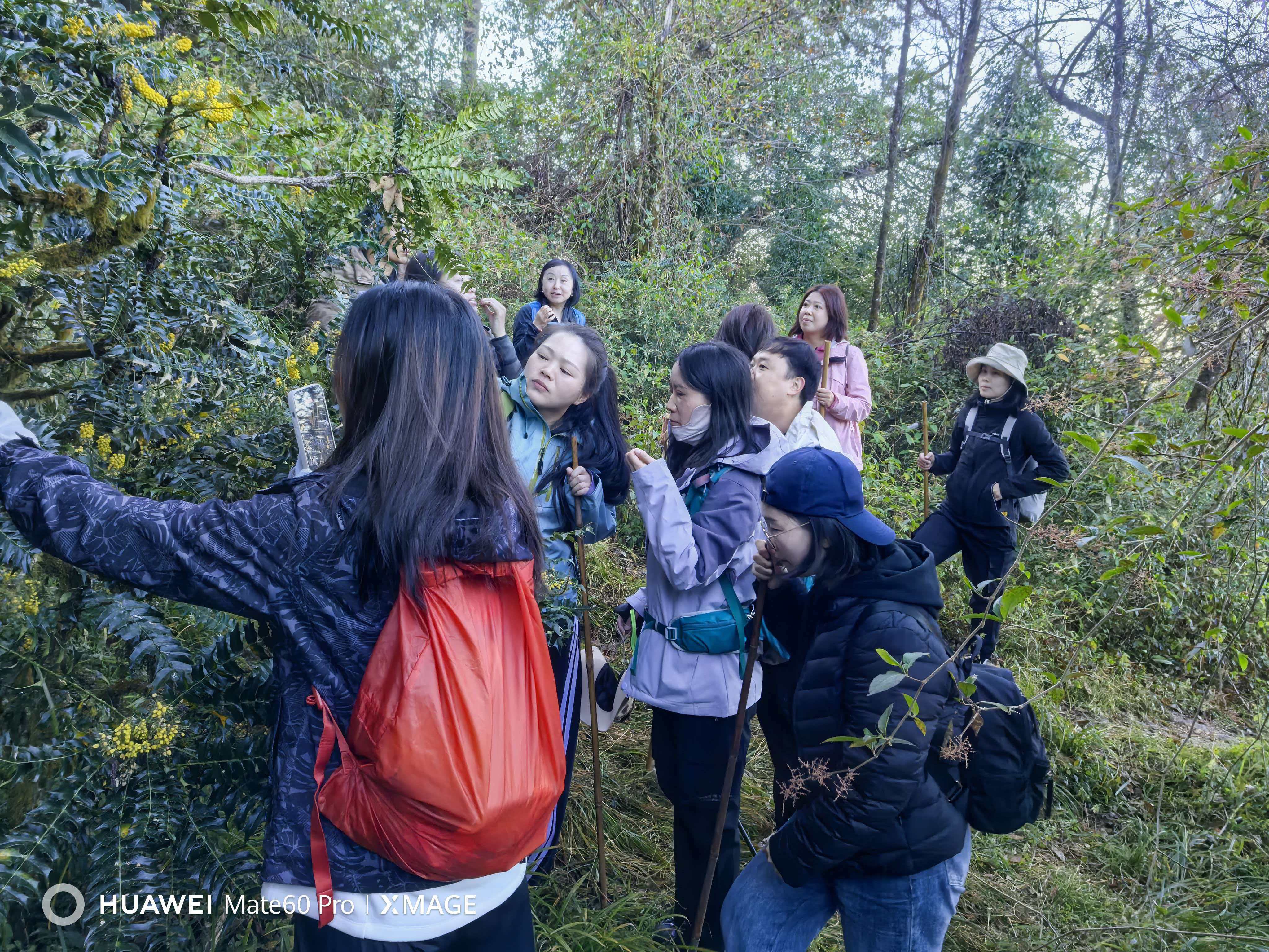 【优行·新闻】腾冲聚力・赋能远航｜优行商旅管理团队2025团建之旅圆满收官